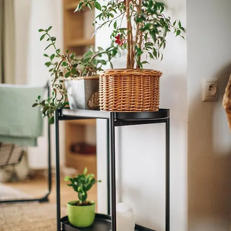 Bývanie So štýlovou Záhradou Apartamento